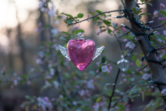The importance of approaching work with a heart-first orientation